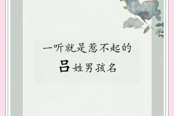 吕氏八字