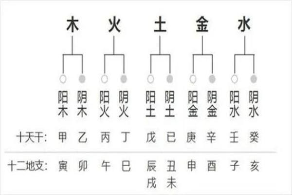 四柱八字什么样的带官运