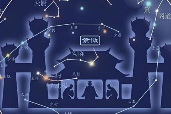 紫薇斗数寿命的星星