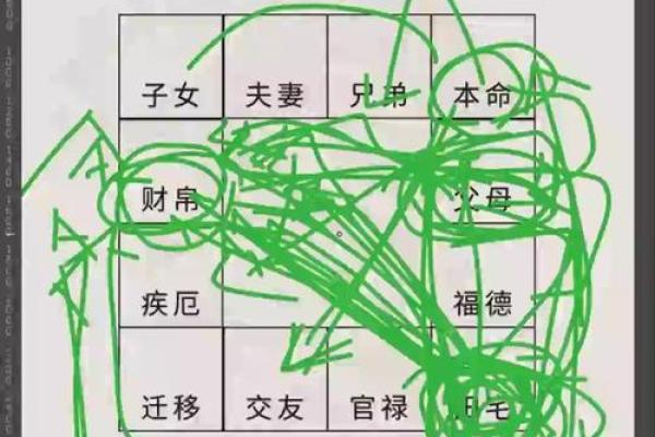 紫薇斗数大田宅