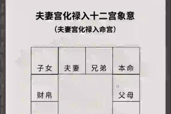 紫薇斗数生年化权入妻宫