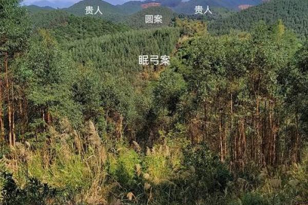 平原墓地风水怎么看