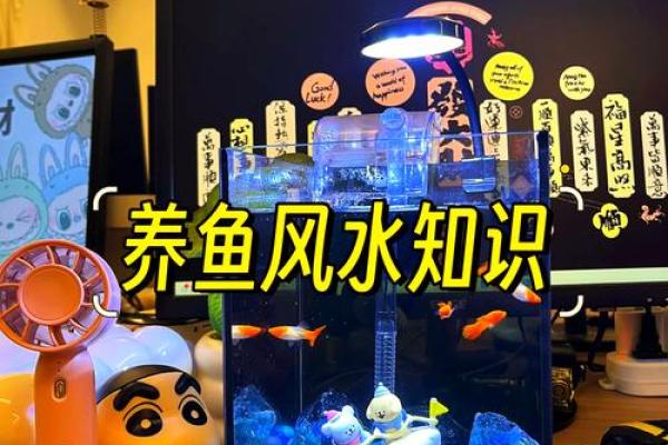鱼缸的风水妙用