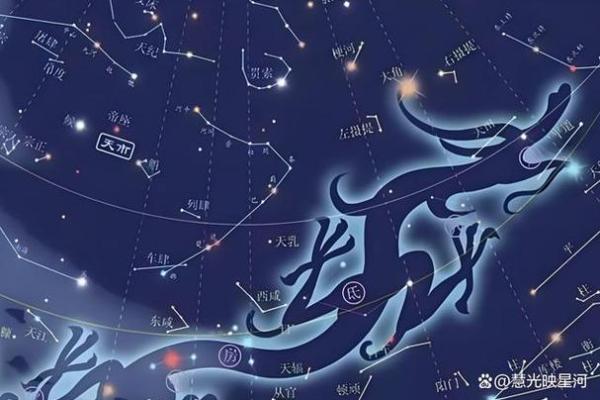 紫薇斗数财帛有天机