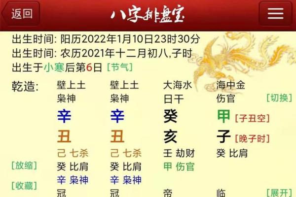 排八字排盘