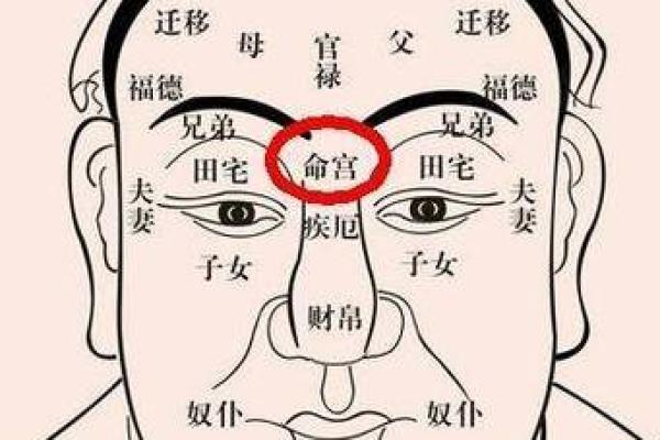 面相算命入门：三停，什么是三停？