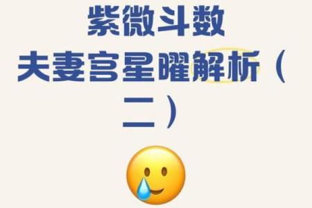 紫薇斗数夫妻宫太阴陷