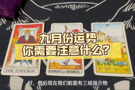塔罗牌测试九月事业运