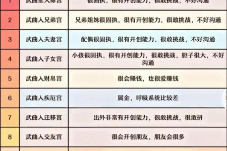 紫薇斗数代表什么