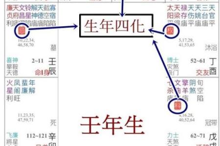 紫薇斗数化禄星