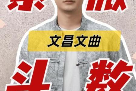 文曲星八字