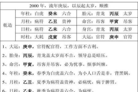 八字命宫辰宫