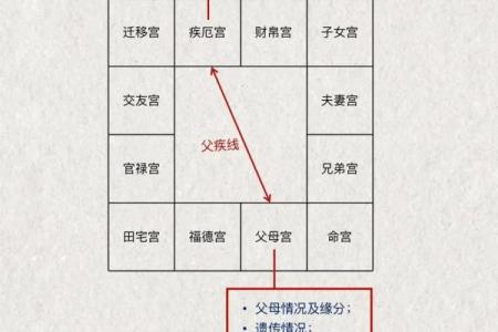 紫薇斗数紫薇梦