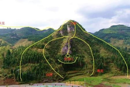 坟地最怕什么破风水