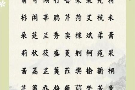 【八字缺木男孩】小名起名攻略，必知五大注意事项