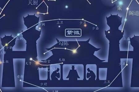 紫薇斗数寿命的星星