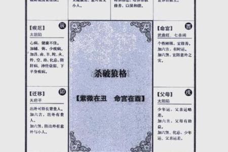 紫薇斗数怎样解盘