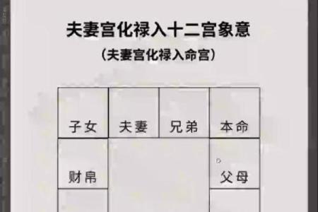 紫薇斗数生年化权入妻宫