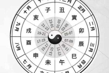 紫薇斗数看润月