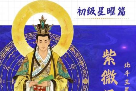 紫薇星斗数排盘元亨