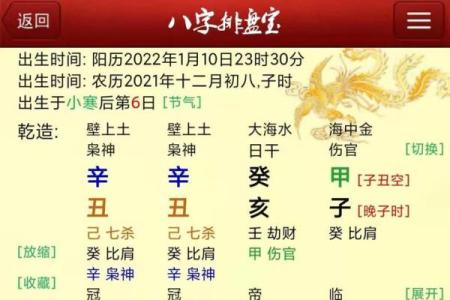 排八字排盘