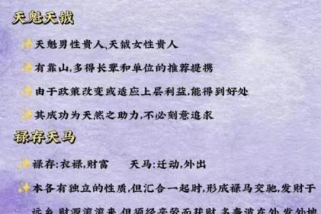 文曲紫薇斗数