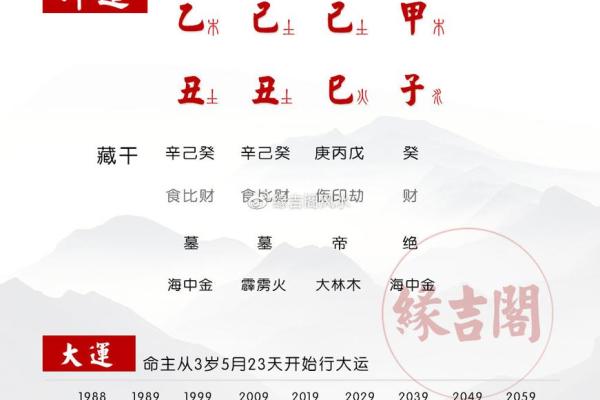 算命说你有三个子女