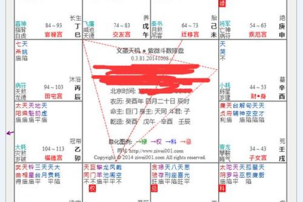 怡然紫薇斗数