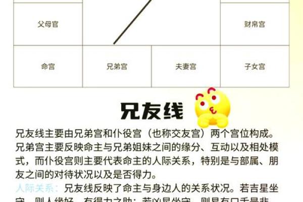 关于紫薇斗数软件安卓破解版的信息