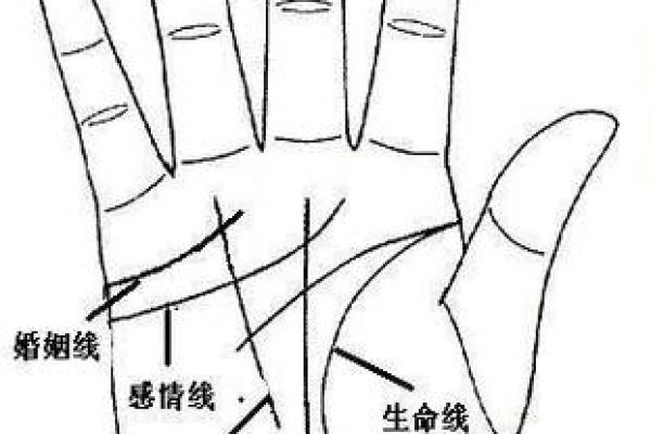 图解:手相中的智慧线算命 图解:手相中的智慧线算命
