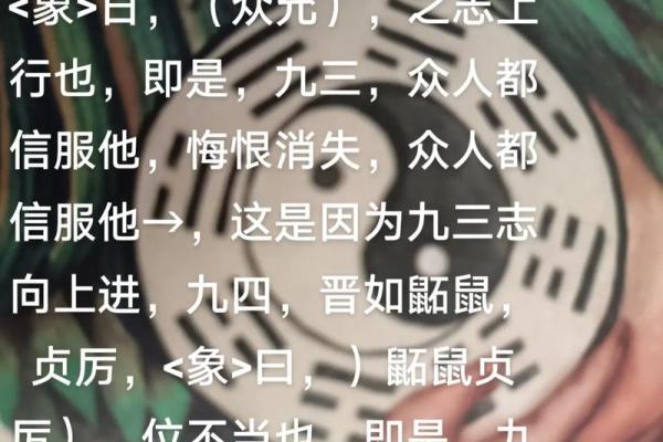 紫薇斗数入门梅花