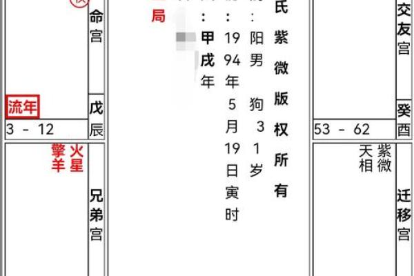 紫薇斗数宫位详解