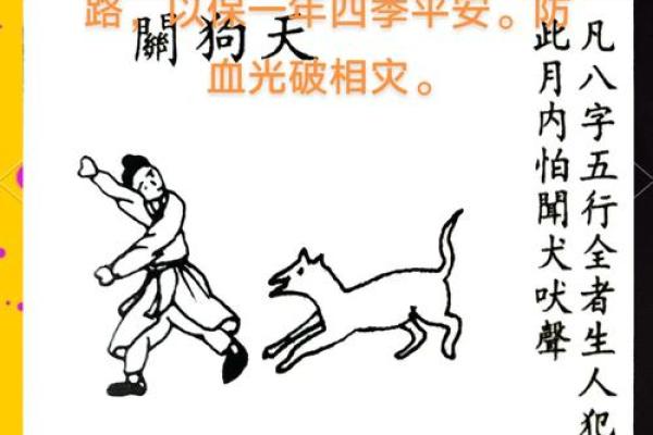 风水上天狗是什么意思象征意义