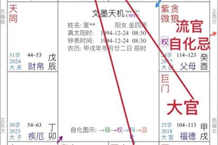 飞星四化紫薇斗数