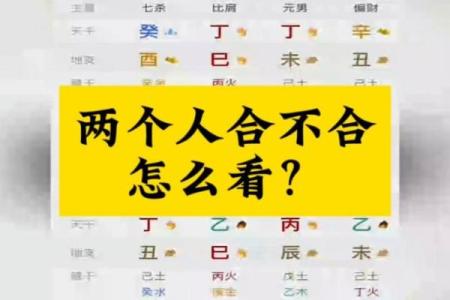 怎么看两个人的八字合不合,算两个人的生辰八字合不合