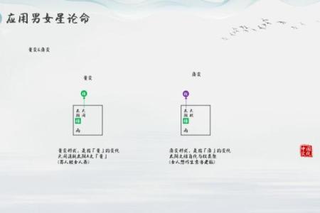 紫薇斗数命之夫
