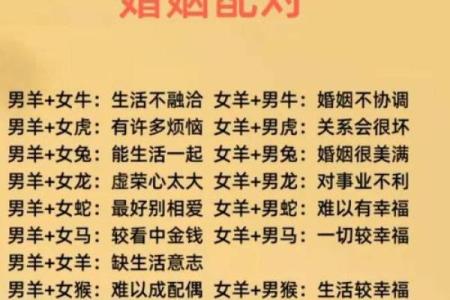 这里有几个八字好，如何选择最适合的八字配对？
