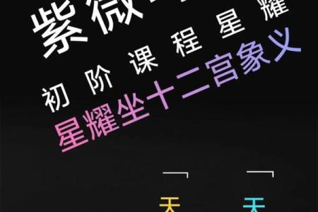 紫薇斗数星耀太多