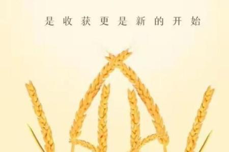 芒种前出生好还是芒种后 2024年芒种出生人的八字