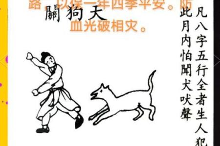 风水上天狗是什么意思象征意义
