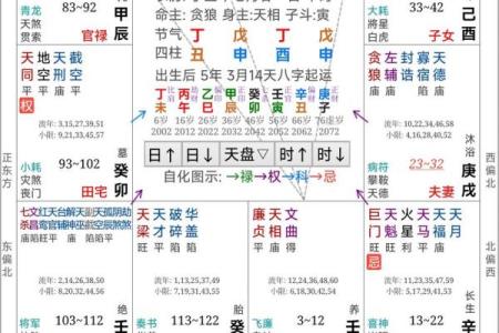 高级紫薇斗数书