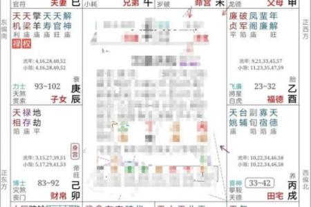 紫微斗数看会拥有美好婚姻的人