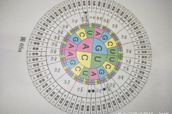 八字天干的根