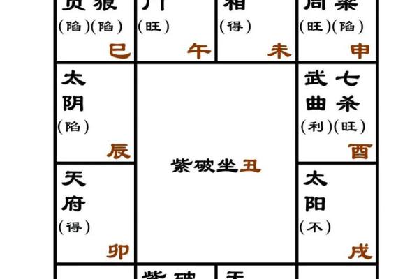 学紫薇斗数