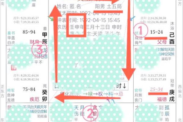 紫薇免费算命准不准？详解紫薇的命理学特点