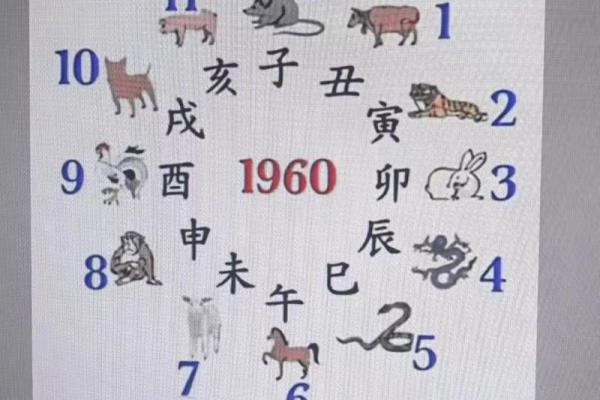 紫薇免费算命准不准？详解紫薇的命理学特点