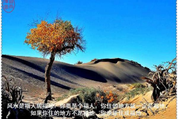 你如何利用风水捕获自己的爱情