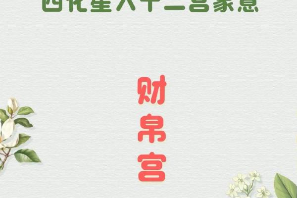 郭晶晶紫薇斗数