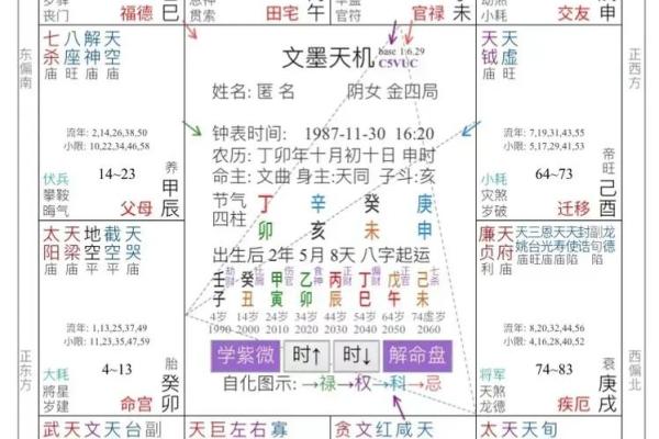 流年紫微斗数 流年紫微斗数星盘如何解析？