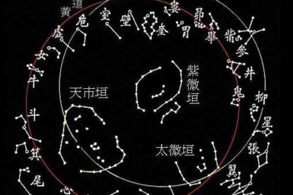 怕老婆的紫薇斗数